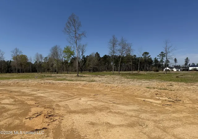 Photo 3 of Land for sale at Lot 6 Oakley Ln, Lucedale, MS 39452 | MLS# 4143134 | Listing updated on 2026-04-03