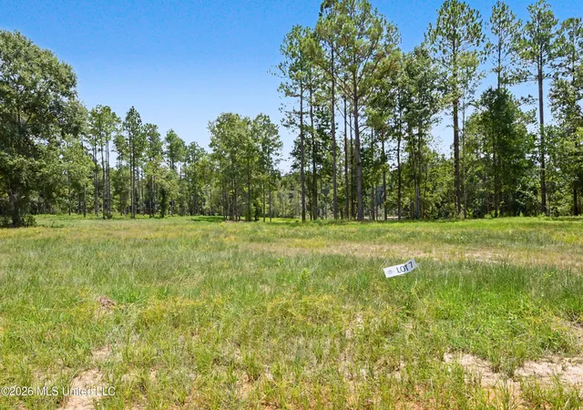 9th image of Lot 7 Oakley Ln, Lucedale, MS 39452 | MLS# 4143140