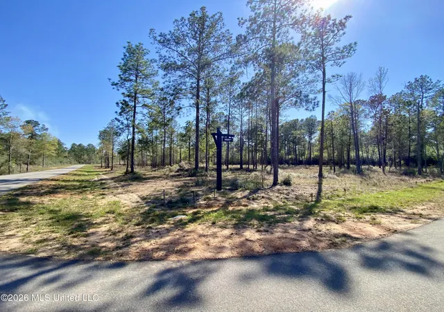 Photo 1 of Land for sale at 9 Monarch Cir, Carriere, MS 39426 | MLS# 4143197 | Listing updated on 2026-03-30
