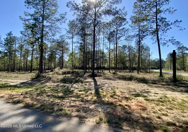 Photo 2 of Land for sale at 9 Monarch Cir, Carriere, MS 39426 | MLS# 4143197 | Listing updated on 2026-03-30