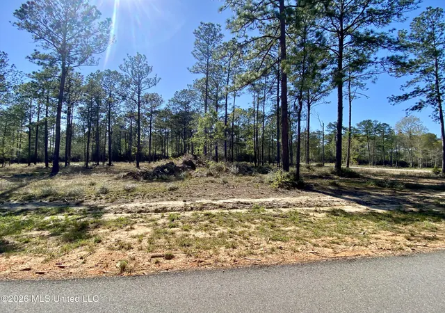 Photo 3 of Land for sale at 9 Monarch Cir, Carriere, MS 39426 | MLS# 4143197 | Listing updated on 2026-03-30