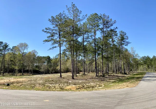 1st image of 10 Monarch Cir, Carriere, MS 39426 | MLS# 4143193