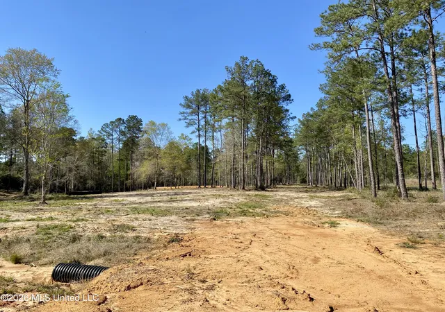 2nd image of 10 Monarch Cir, Carriere, MS 39426 | MLS# 4143193