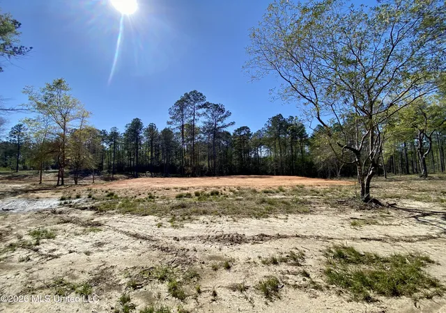 3rd image of 10 Monarch Cir, Carriere, MS 39426 | MLS# 4143193