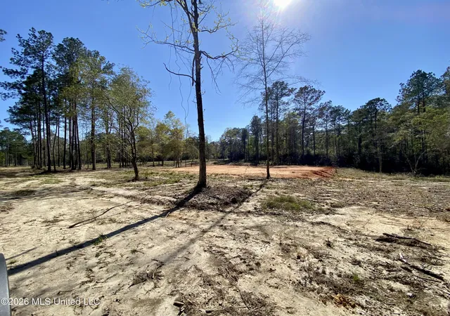 4th image of 10 Monarch Cir, Carriere, MS 39426 | MLS# 4143193
