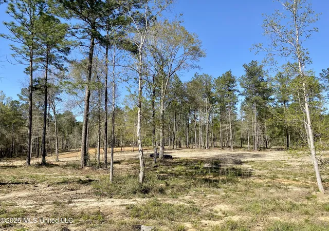 5th image of 10 Monarch Cir, Carriere, MS 39426 | MLS# 4143193