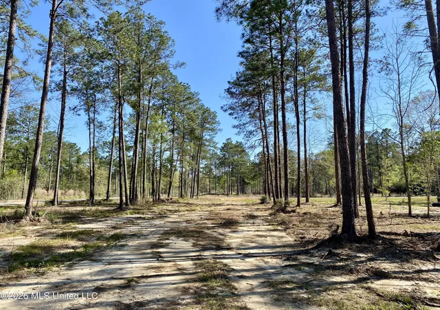 6th image of 10 Monarch Cir, Carriere, MS 39426 | MLS# 4143193