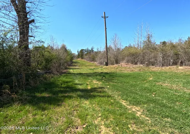 Homes for sale in Utica, MS | 17565 Ms 27, Utica, MS 39175 | MLS# 4144038