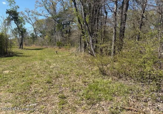 Homes for sale in Utica, MS | 17565 Ms 27, Utica, MS 39175 | MLS# 4144038