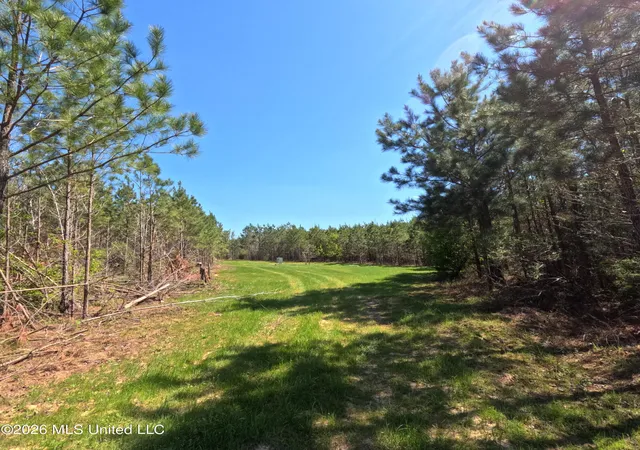 Homes for sale in Utica, MS | 17565 Ms-27, Utica, MS 39175 | MLS# 4144038