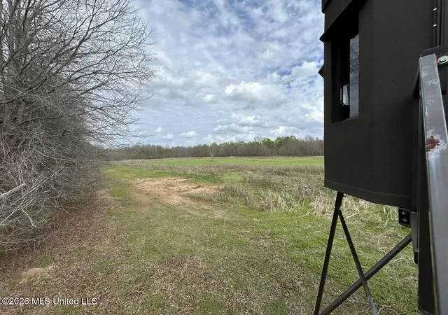Homes for sale in Wisner, LA | 954 Jones Landing Rd, Wisner, LA 71243 | MLS# 4143429