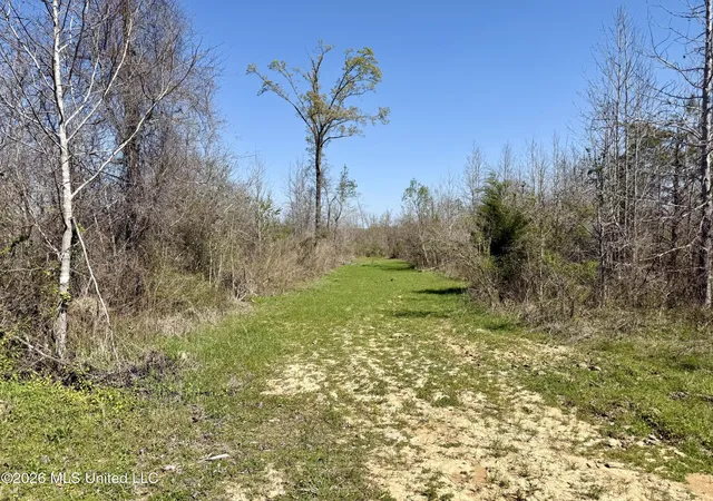 Homes for sale in Lexington, MS | Brozville Rd, Lexington, MS 39095 | MLS# 4143495