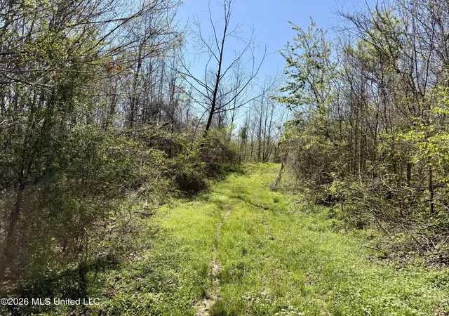 Homes for sale in Lexington, MS | Brozville Rd, Lexington, MS 39095 | MLS# 4143495