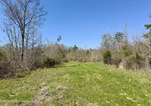 Homes for sale in Lexington, MS | Brozville Rd, Lexington, MS 39095 | MLS# 4143495