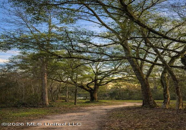10th image of 14 Acres F Z Goss Rd, Picayune, MS 39466 | MLS# 4143504