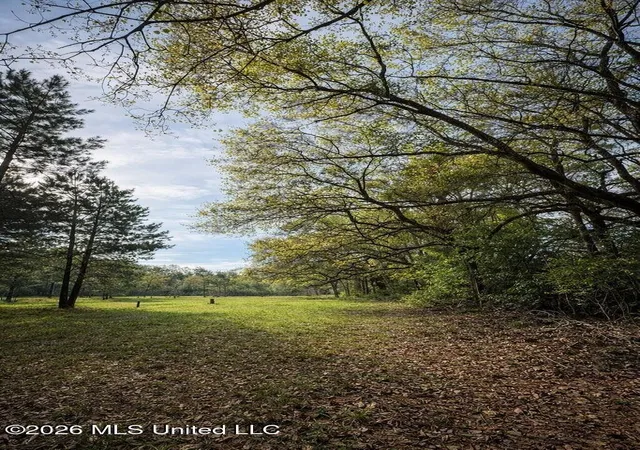 1st image of 14 Acres F Z Goss Rd, Picayune, MS 39466 | MLS# 4143504