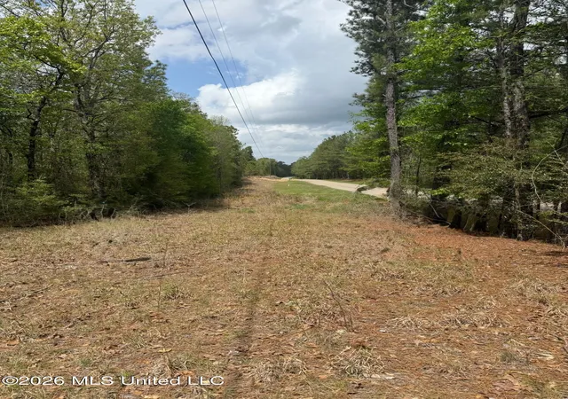 Homes for sale in Hattiesburg, MS | 347 E Old Hwy 49, Hattiesburg, MS 39401 | MLS# 4143774