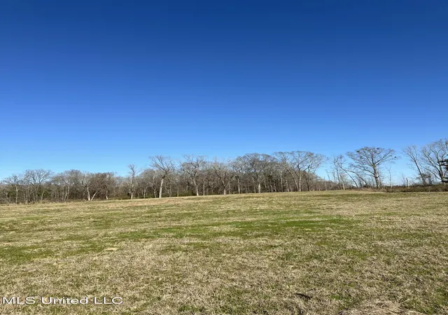 14th image of 0 Chichester Rd, Edwards, MS 39066 | MLS# 4143739