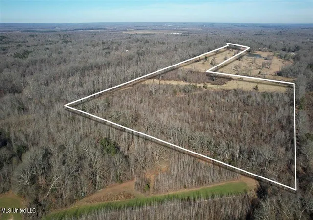 3rd image of 0 Chichester Rd, Edwards, MS 39066 | MLS# 4143739