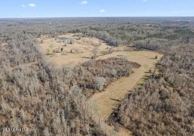 4th image of 0 Chichester Rd, Edwards, MS 39066 | MLS# 4143739