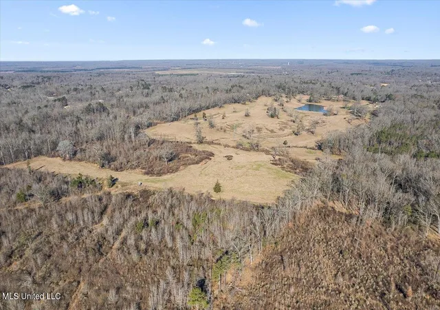 5th image of 0 Chichester Rd, Edwards, MS 39066 | MLS# 4143739