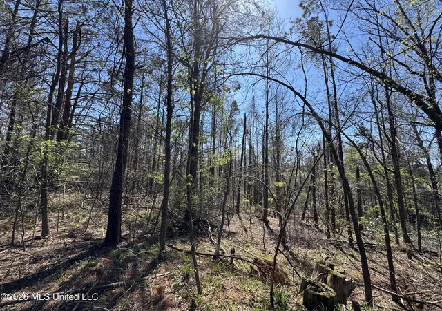 Homes for sale in Lexington, MS | 0 N Circle Rd, Lexington, MS 39095 | MLS# 4143532