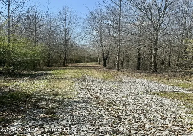 Photo 2 of Land for sale at Mississippi 35 Hwy, Carthage, MS 39051 | MLS# 4143711 | Listing updated on 2026-04-07
