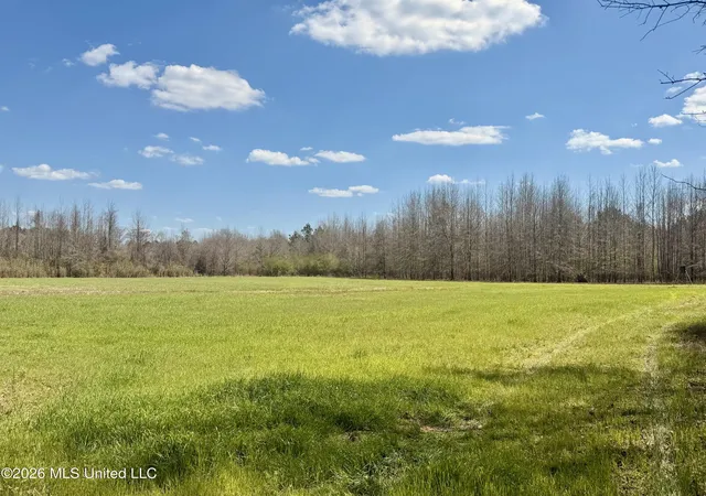 Photo 3 of Land for sale at Mississippi 35 Hwy, Carthage, MS 39051 | MLS# 4143711 | Listing updated on 2026-04-07