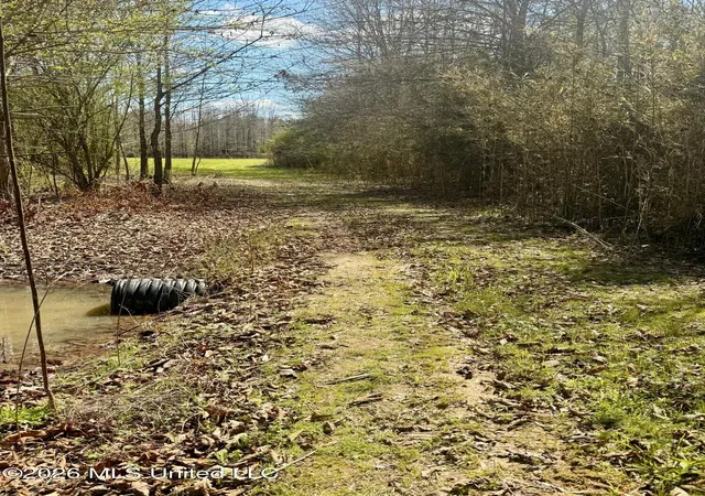 Photo 3 of Land for sale at Mississippi 35 Hwy, Carthage, MS 39051 | MLS# 4143711 | Listing updated on 2026-04-07
