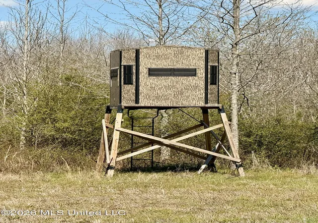 Photo 4 of Land for sale at Mississippi 35 Hwy, Carthage, MS 39051 | MLS# 4143711 | Listing updated on 2026-04-07