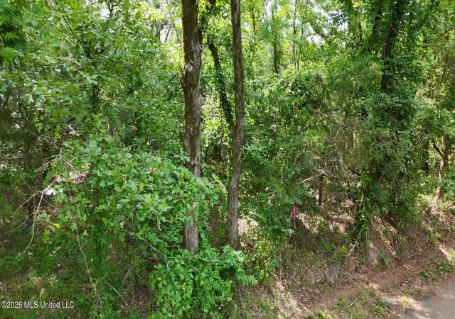Homes for sale in Utica, MS | 0 Chapel Hill Rd, Utica, MS 39175 | MLS# 4146366