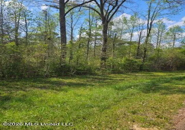 Homes for sale in Magnolia, MS | I-55 S Interstate 55, Magnolia, MS 39652 | MLS# 4143658