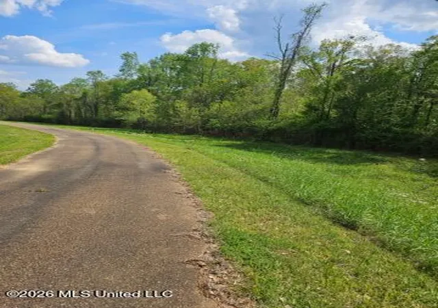 Homes for sale in Magnolia, MS | I-55 S Interstate 55, Magnolia, MS 39652 | MLS# 4143658