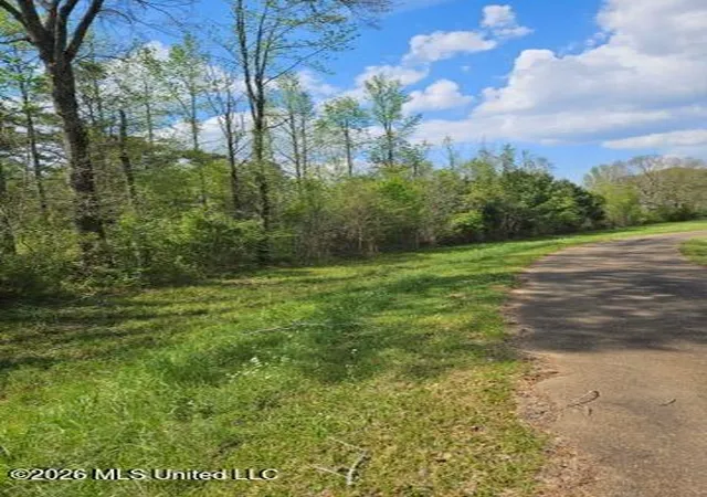 Homes for sale in Magnolia, MS | I 55 S Interstate 55, Magnolia, MS 39652 | MLS# 4143658