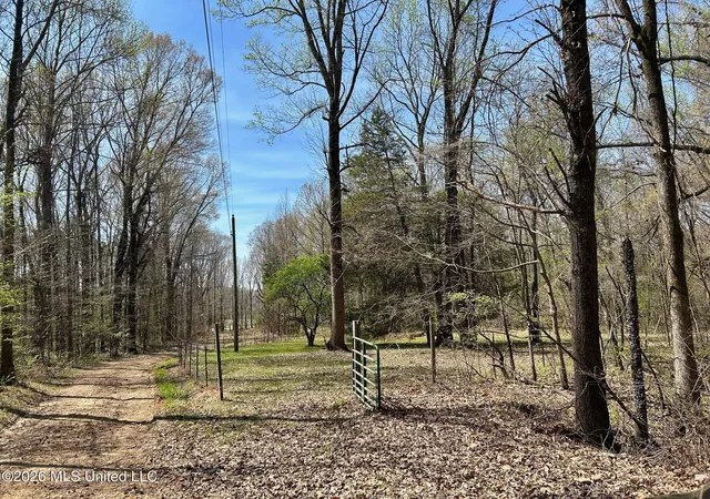 Homes for sale in Coldwater, MS | 2250 Bend Rd, Coldwater, MS 38618 | MLS# 4143905