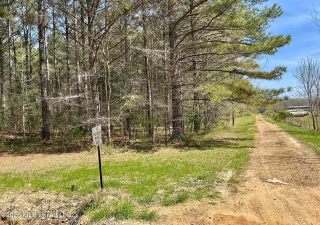 Homes for sale in Coldwater, MS | 2250 Bend Rd, Coldwater, MS 38618 | MLS# 4143905
