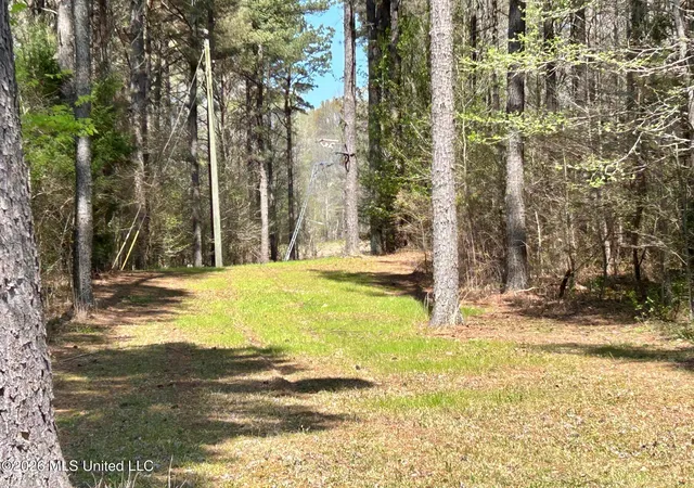 Homes for sale in Coldwater, MS | 2250 Bend Rd, Coldwater, MS 38618 | MLS# 4143905