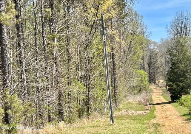 Homes for sale in Coldwater, MS | 2250 Bend Rd, Coldwater, MS 38618 | MLS# 4143905