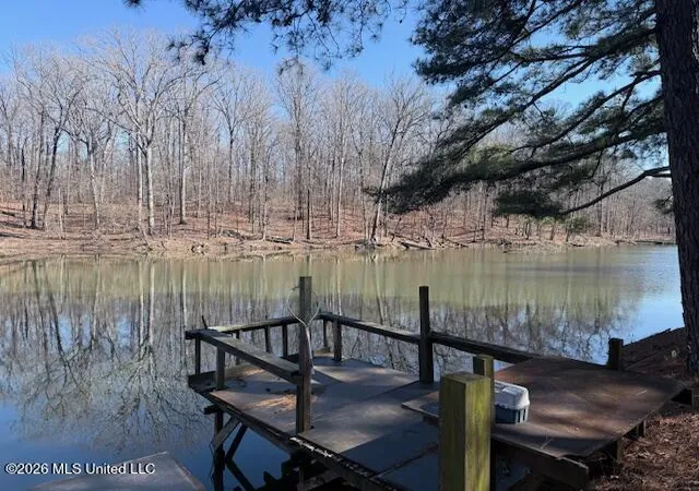 Homes for sale in Walls, MS | 9120 Old Hwy 61, Walls, MS 38680 | MLS# 4143850
