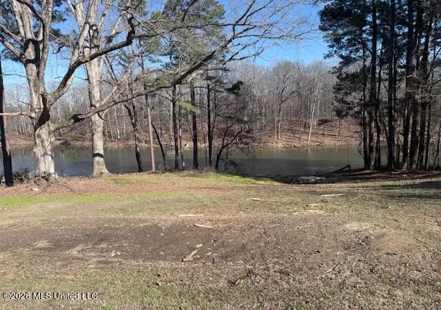 Homes for sale in Walls, MS | 9120 Old Hwy 61, Walls, MS 38680 | MLS# 4143850