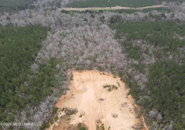 Homes for sale in Bogue Chitto, MS | 2573 Se Pricedale Dr, Bogue Chitto, MS 39629 | MLS# 4143854