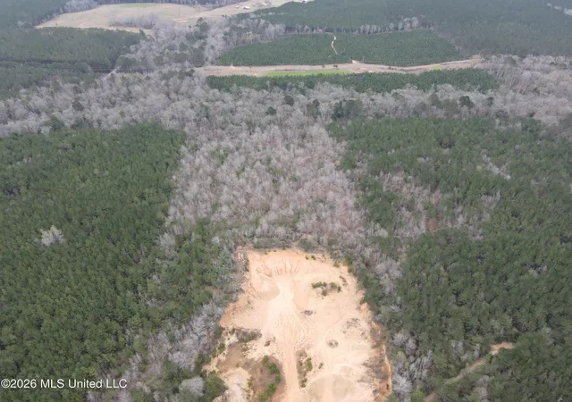 Homes for sale in Bogue Chitto, MS | 2573 Se Pricedale Dr, Bogue Chitto, MS 39629 | MLS# 4143854