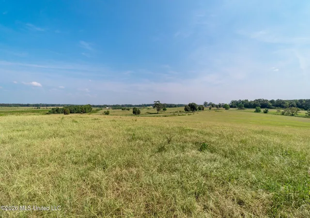 1st image of Nhn Grady Lewis Rd, Poplarville, MS 39470 | MLS# 4143864