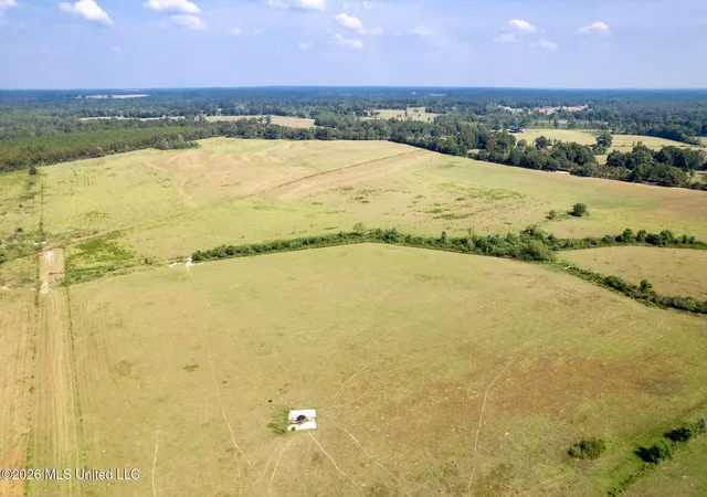 2nd image of Nhn Grady Lewis Rd, Poplarville, MS 39470 | MLS# 4143864