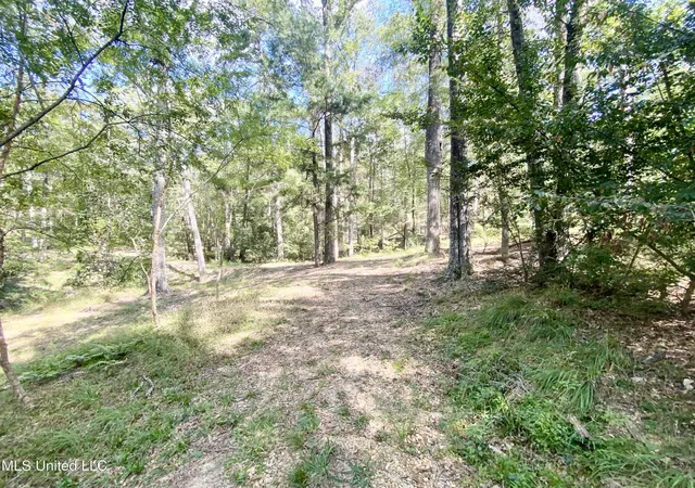 Photo 2 of Land for sale at 140 Westover Dr, Hazlehurst, MS 39083 | MLS# 4143872 | Listing updated on 2026-03-27
