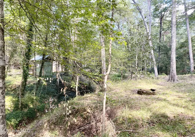 Photo 39 of Land for sale at 140 Westover Dr, Hazlehurst, MS 39083 | MLS# 4143872 | Listing updated on 2026-03-27