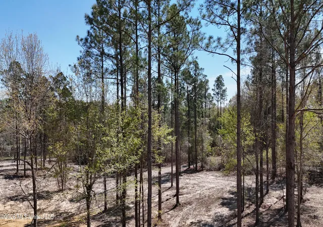 15th image of Nhn Yankee Rd, Lucedale, MS 39452 | MLS# 4143928