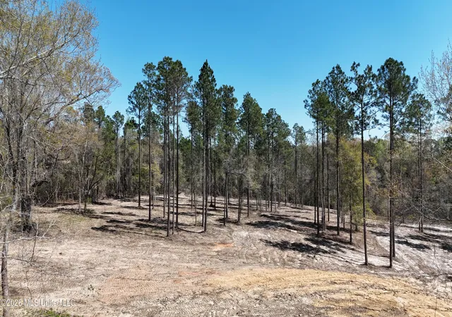 1st image of Nhn Yankee Rd, Lucedale, MS 39452 | MLS# 4143928