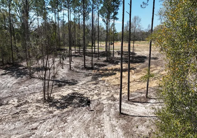 2nd image of Nhn Yankee Rd, Lucedale, MS 39452 | MLS# 4143928