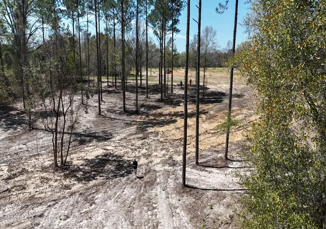 3rd image of Nhn Yankee Rd, Lucedale, MS 39452 | MLS# 4143928